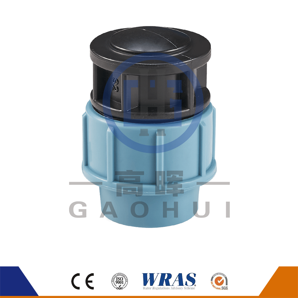 P. PP P-XXXVIII Italica Version