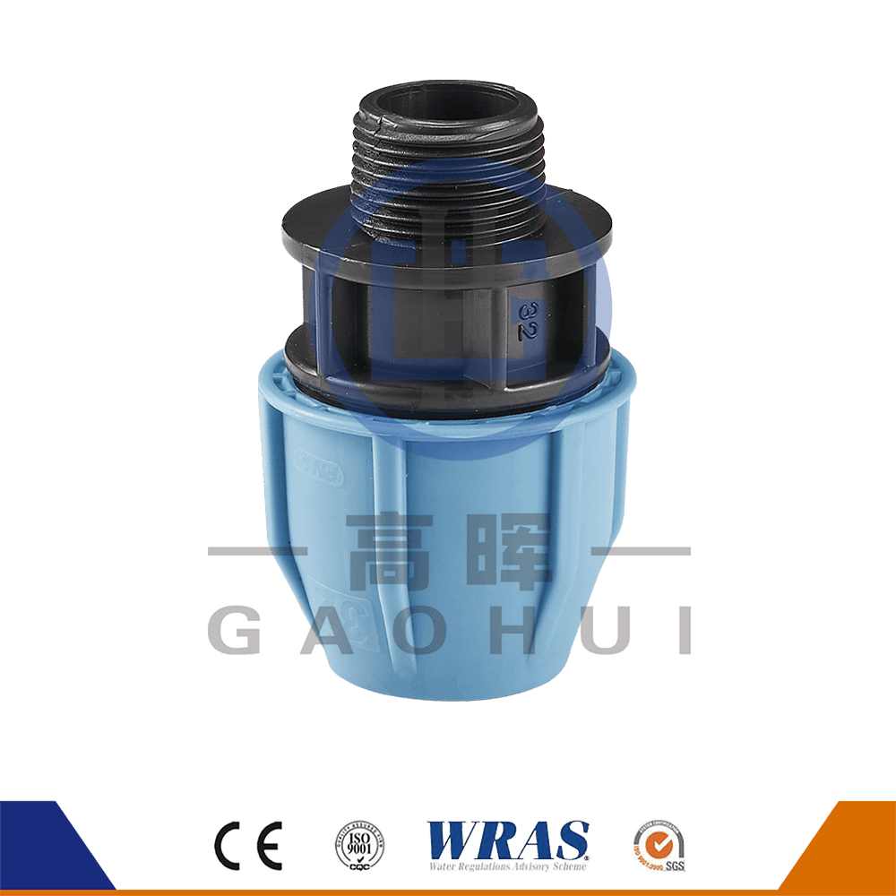 Circa caput P. Male coupers P-XVII