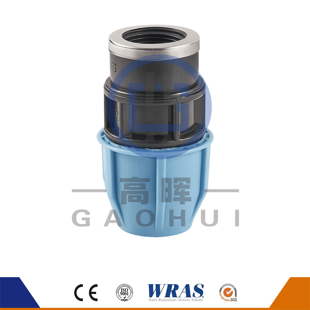 Circa caput P. PG Male Couppers P