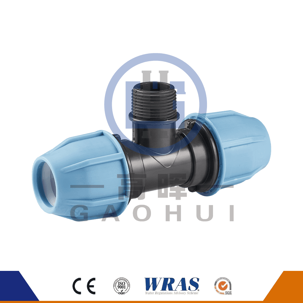 Circa caput P. Male Tee P