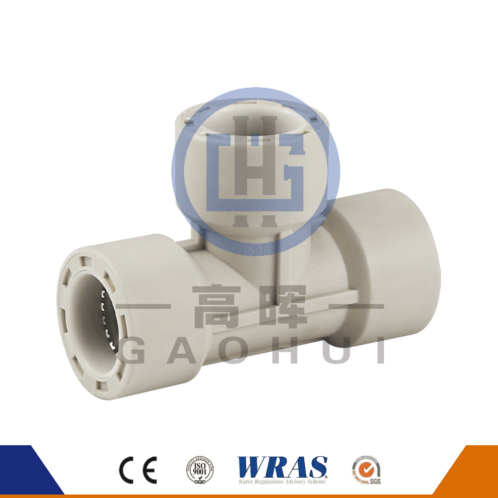 PP aequalis Tee P- IX